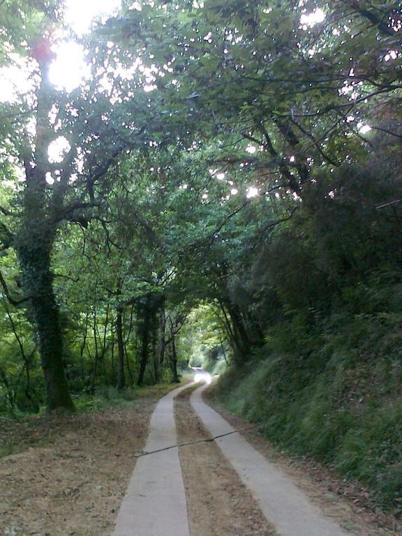 Agriturismo Il Pillone Монтекатини-Терме Экстерьер фото
