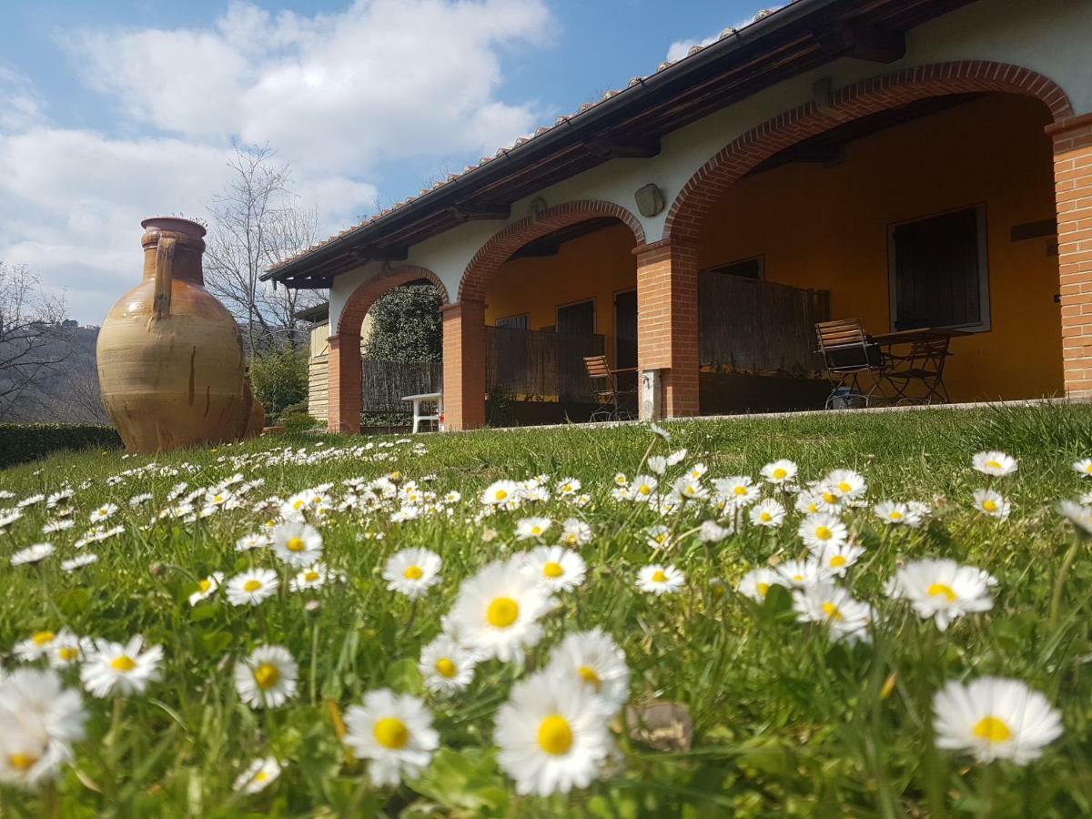 Agriturismo Il Pillone Монтекатини-Терме Экстерьер фото
